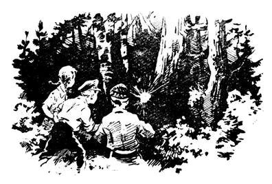 За волшебным цветком - pic_8.jpg