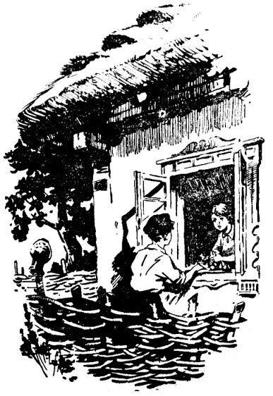 За волшебным цветком - pic_9.jpg