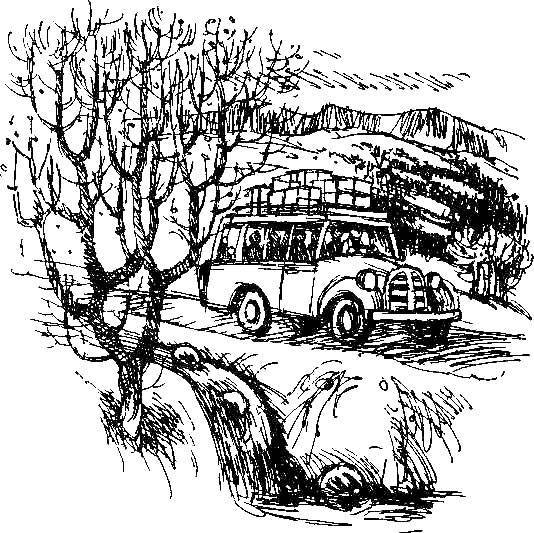 Олауг и Пончик - _3.jpg