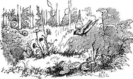 Сказки, рассказанные детям. Новые сказки - i_030.jpg