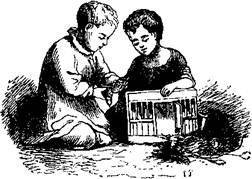 Сказки, рассказанные детям. Новые сказки - i_031.jpg