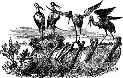 Сказки, рассказанные детям. Новые сказки - i_041.jpg