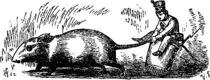 Сказки, рассказанные детям. Новые сказки - i_047.jpg