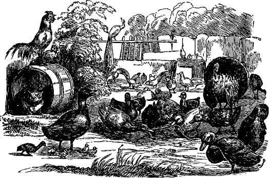 Сказки, рассказанные детям. Новые сказки - i_068.jpg