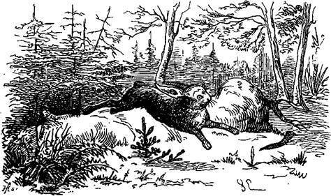 Сказки, рассказанные детям. Новые сказки - i_071.jpg