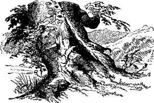 Сказки, рассказанные детям. Новые сказки - i_082.jpg