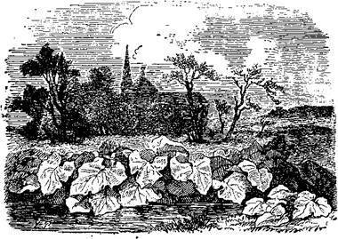 Сказки, рассказанные детям. Новые сказки - i_108.jpg