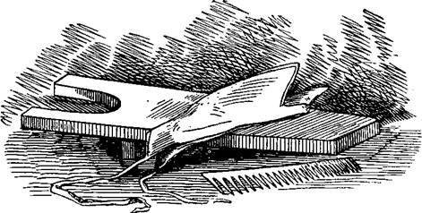 Сказки, рассказанные детям. Новые сказки - i_111.jpg