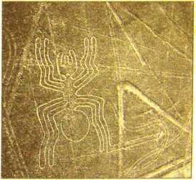 Пустыня Наска. Следы Иного Разума - i_003.jpg