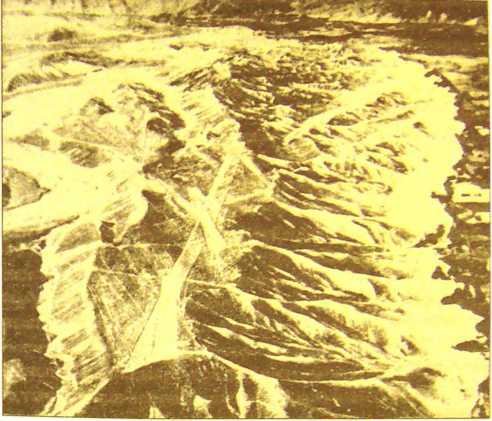 Пустыня Наска. Следы Иного Разума - i_005.jpg