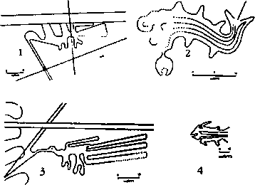 Пустыня Наска. Следы Иного Разума - i_010.png