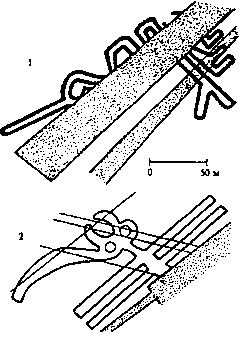Пустыня Наска. Следы Иного Разума - i_011.png