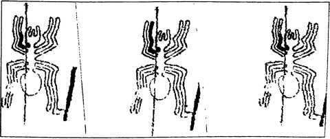Пустыня Наска. Следы Иного Разума - i_031.jpg