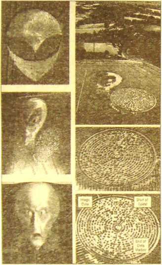 Пустыня Наска. Следы Иного Разума - i_042.jpg