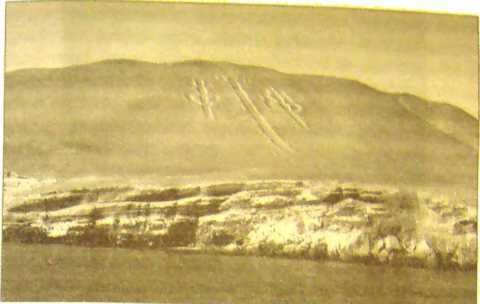 Пустыня Наска. Следы Иного Разума - i_043.jpg