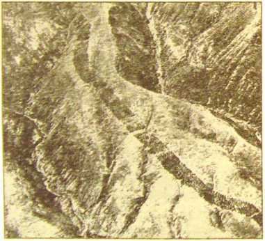 Пустыня Наска. Следы Иного Разума - i_046.jpg