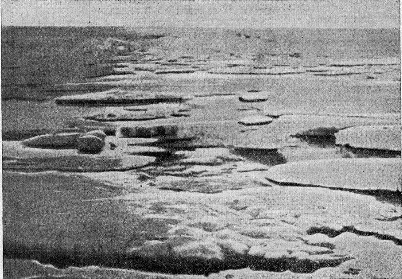 Гостеприимная Арктика - img_10.jpg