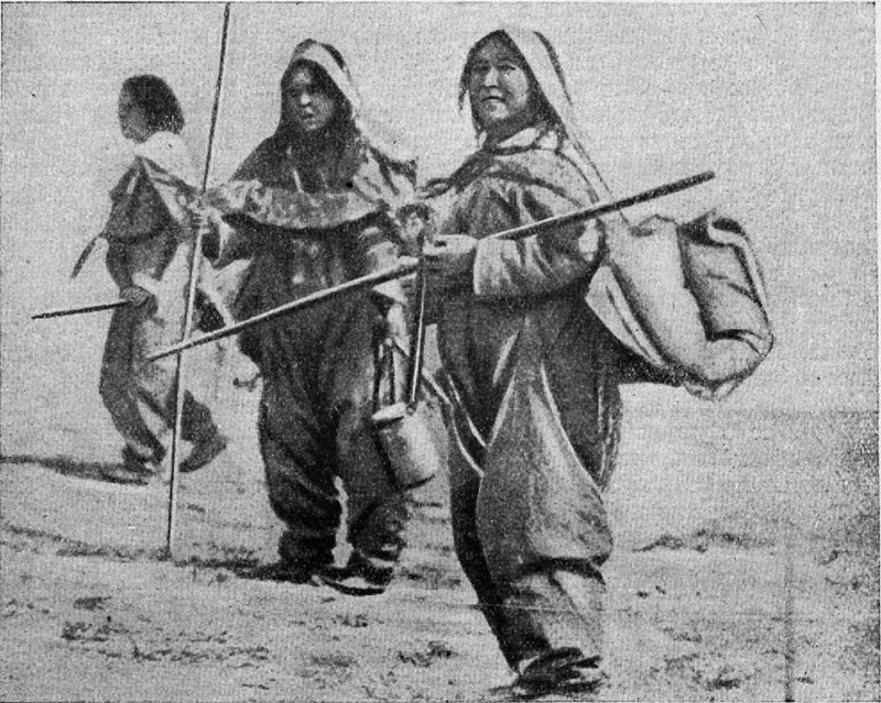 Гостеприимная Арктика - img_12.jpg