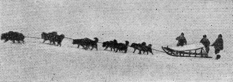 Гостеприимная Арктика - img_13.jpg