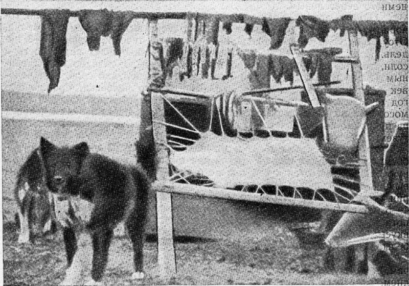 Гостеприимная Арктика - img_14.jpg