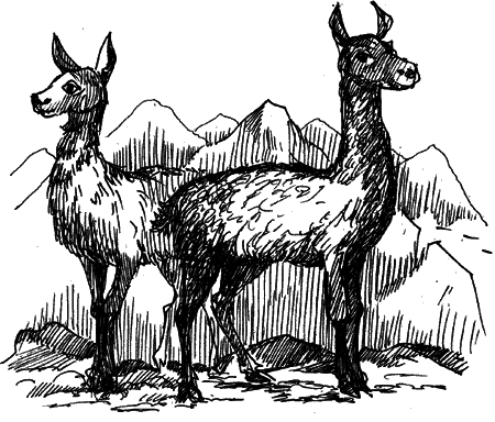 Діти капітана Гранта - i_027.png