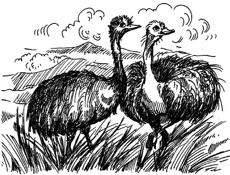 Діти капітана Гранта - i_037.png