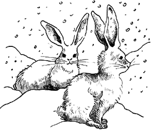 Таємничий острів - i_039.png