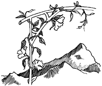 Таємничий острів - i_062.png