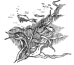 Таємничий острів - i_119.png