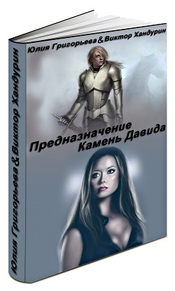 Книга Предназначение. Камень Давида (СИ)