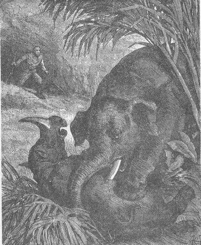 Том 1. В дебрях Индии (с илл.) - i_008.jpg