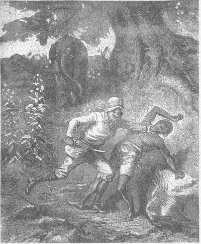 Том 1. В дебрях Индии (с илл.) - i_011.jpg