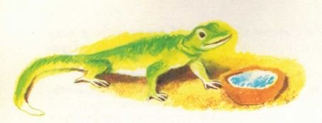 Не плачь, мухоморчик! - _7.jpg