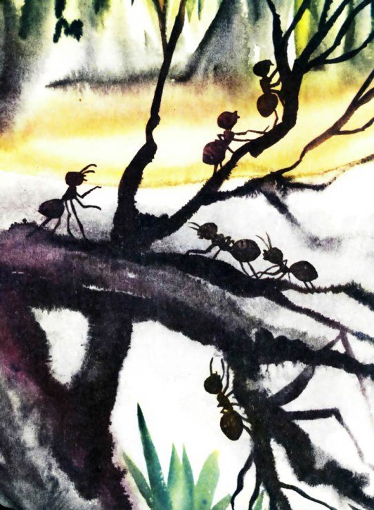 Тревоги Голубого города - i_004.jpg