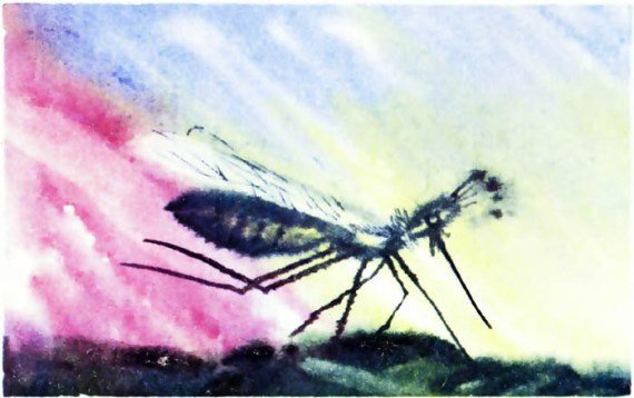 Тревоги Голубого города - i_011.jpg