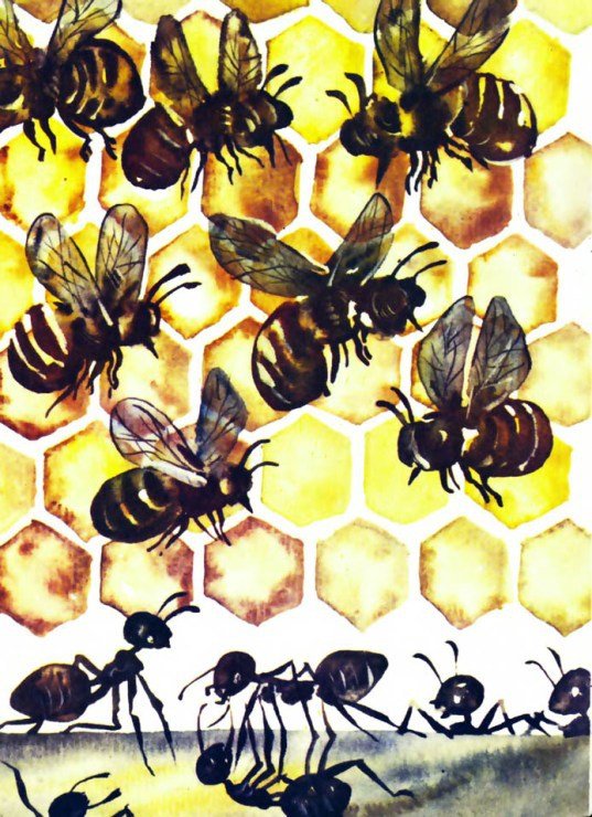 Тревоги Голубого города - i_014.jpg