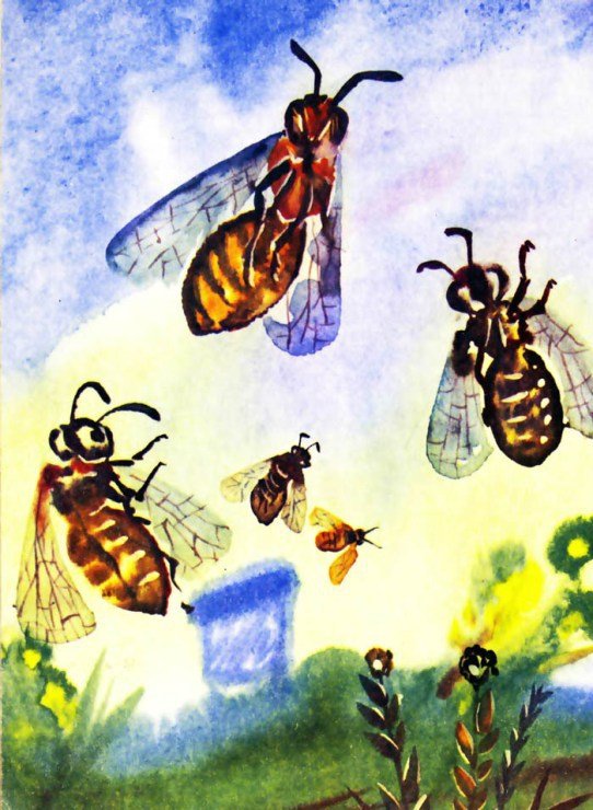 Тревоги Голубого города - i_021.jpg