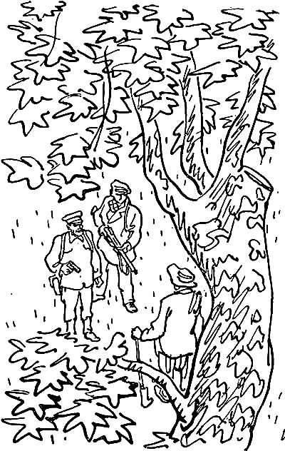 Тропа Селим-хана (сборник) - pic_31.png