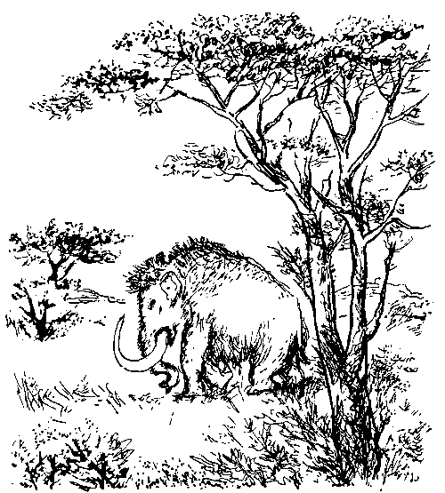 Земля мамонтов (с илл.) - _1.png