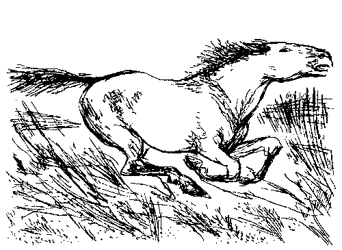 Земля мамонтов (с илл.) - _92.png