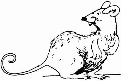 Весь мир - чулан - _74.jpg