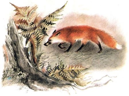 Зеркало в старинном особняке - i_005.jpg