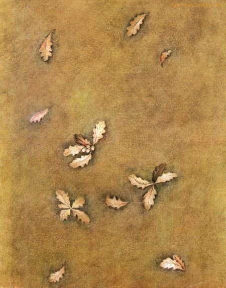 Зеркало в старинном особняке - i_025.jpg