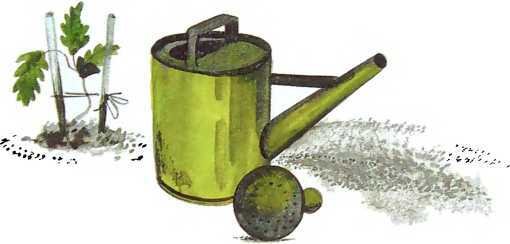 Семейный экипаж - i_025.jpg