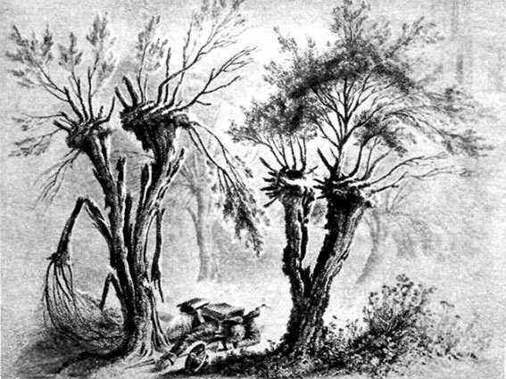 Меткие стрелки - pic_61.jpg