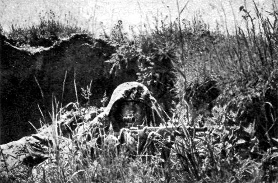 Меткие стрелки - pic_216.jpg