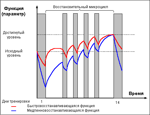 Думай! Или 'Супертренинг' без заблуждений - any2fbimgloader17.png