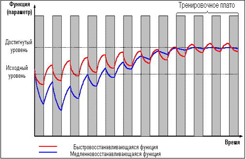Думай! Или 'Супертренинг' без заблуждений - any2fbimgloader20.png