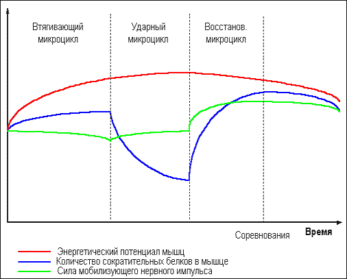 Думай! Или 'Супертренинг' без заблуждений - any2fbimgloader22.png