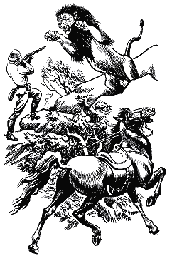 Повернення Тарзана - i_007.png